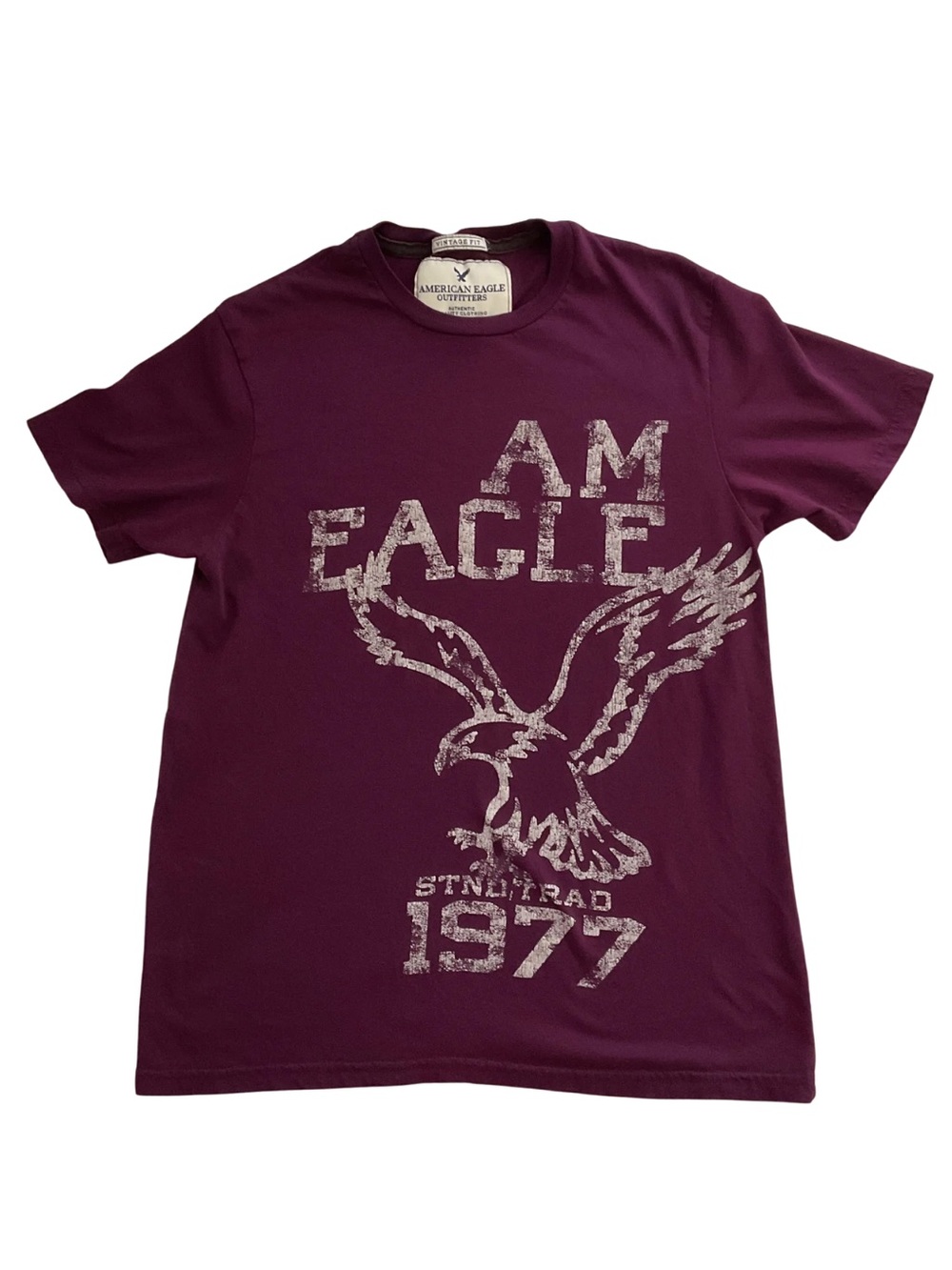 American Eagle Outfitters Men’s Burgundy Graphic Tee with Eagle Print